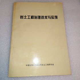 岩土工程治理技术与实例