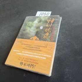 神的忧虑：一个非常盗的故事