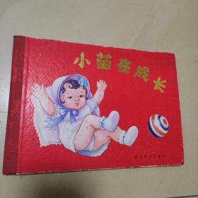 小苗在成长