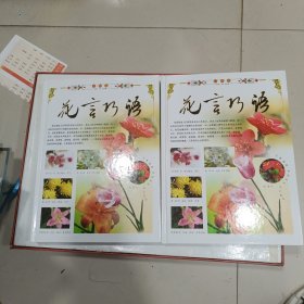 花言巧语 上下卷（彩图版）