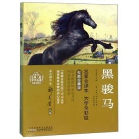 小树苗经典文库·世界儿童文学名著：黑骏马
