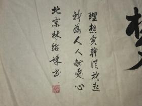 林绍姝书法100.52