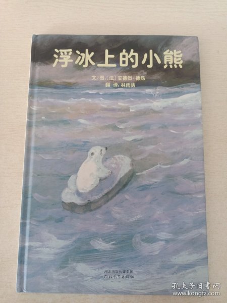 浮冰上的小熊