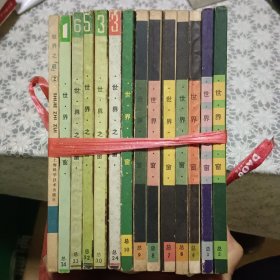 世界之窗杂志 14本合售