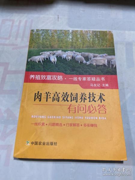 肉羊高效饲养技术有问必答/养殖致富攻略·一线专家答疑丛书