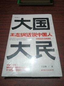 大国大民——王志纲话说中国人