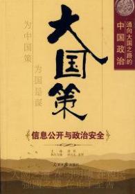 大国策——通向大国之路的中国政治：信息公开与政治安全