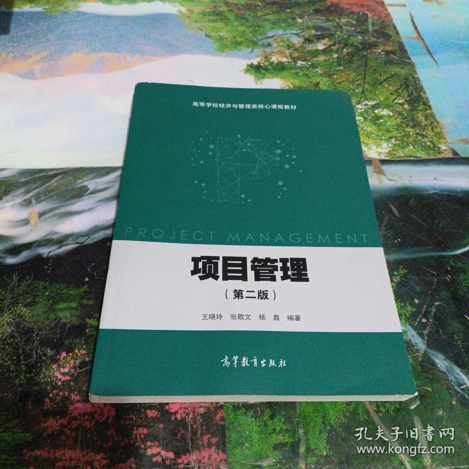 项目管理（第二版）