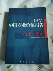 IBM中国商业价值报告（像是未阅）