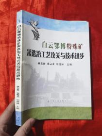 白云鄂博特殊礦采選冶工藝攻關(guān)與技術(shù)進(jìn)步【16開】