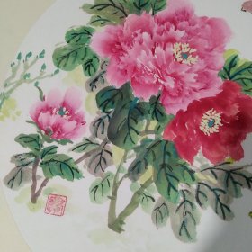 高蓉款花鸟画一张-富贵牡丹，画心尺寸33/33公分。