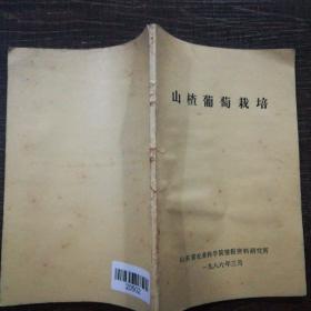 山楂葡萄栽培，侧面发黄