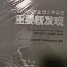 四川省第三次全国文物普查重要新发现