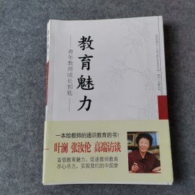 教育魅力：青年教师成长钥匙