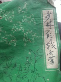少林对战拳