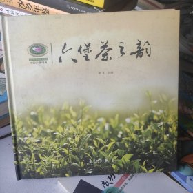 六煲茶之韵