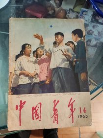 中国青年 1965年14