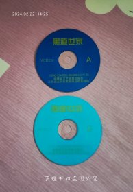 黑道世家（2VCD，福建文艺正版裸碟，香港警匪片，杨丽菁、李子雄领衔主演，光碟经过测试，正常播放。）