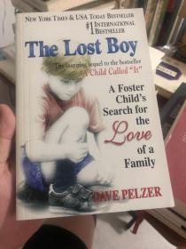 外语原版书：英语原版《The Lost Boy：A Foster Child's Search for the Love of a Family》寄养儿童对家庭之爱的追寻