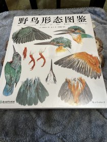 野鸟形态图鉴