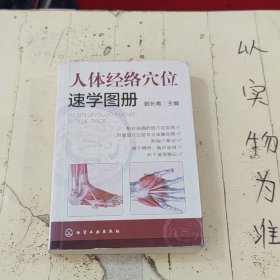 人体经络穴位速学图册