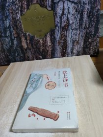 枕上诗书：遇见最美宋词 （【彩图珍藏版】 引领宋词阅读国民读本！）