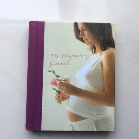 My Pregnancy Journal 我的怀孕日记   精装