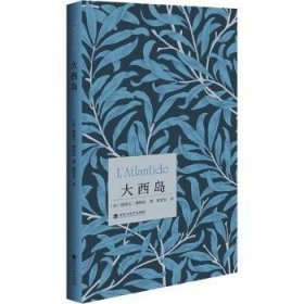 大西岛9787550048003