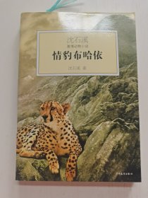 情豹布哈依：沈石溪激情动物小说