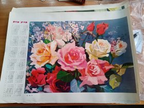 1979年历画玫瑰花
