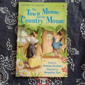 THE TOWN MOUSE AND THE COUNTRY MOUSE