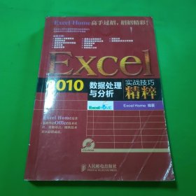 Excel 2010数据处理与分析实战技巧精粹