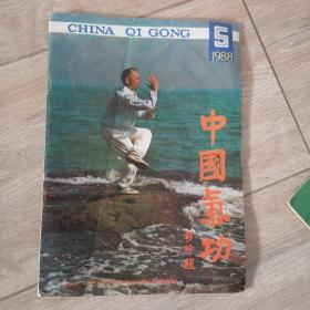 中国气功  1988年 第5期