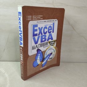 Excel VBA从入门到精通（实用案例视频版）