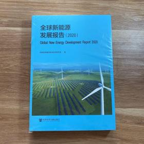 全球新能源发展报告（2020）