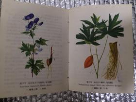《陕西中草药》《云南中草药》两册合售，馆藏书