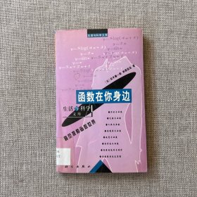 函数在你身边：直觉探索函数世界——生活与科学文库