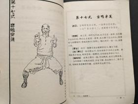 林世荣真传虎鹤双形拳