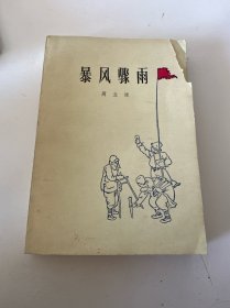 暴風(fēng)驟雨