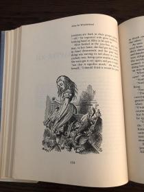 The annotated Alice       Alice’s Adventures In Wonderland Through The Looking Glass    超大开本，John Tenniel插图本，Martin Gardner作序与注释