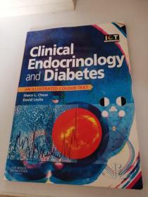 clinical endocrinology and diabetes