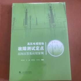 高压电缆现场故障测试定点百问百答及应用案例