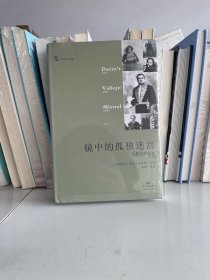 镜中的孤独迷宫：拉美文学选集