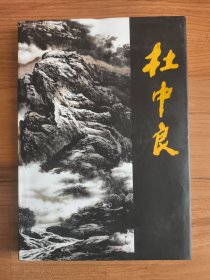 杜中良/中国近现代名家画集