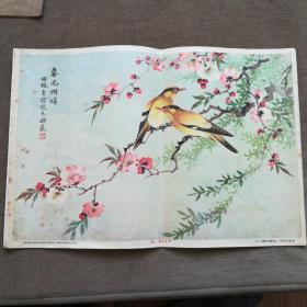 民国戈湘岚画花四季花鸟（4张一套，8开，庐山画片公司出品）