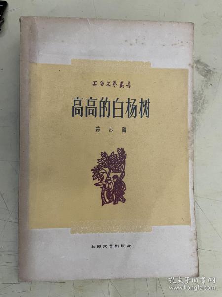 高高的白杨树