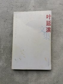 叶延滨文集杂文卷