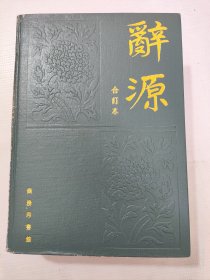 辞源 （合订本）