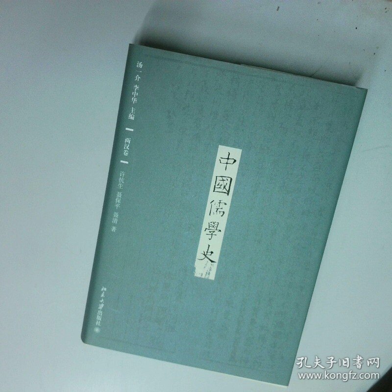 中国儒学史 两汉卷  汤一介著 李中华著 北京大学出版社