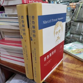 普鲁斯特传（上下） 《追忆似水年华》的创作史